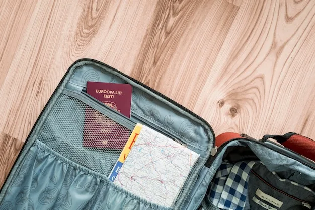 Itens de viagem organizados